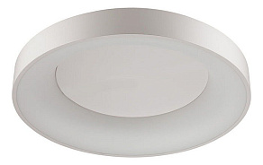 Накладной светильник Odeon Light Sole 4062/80CL