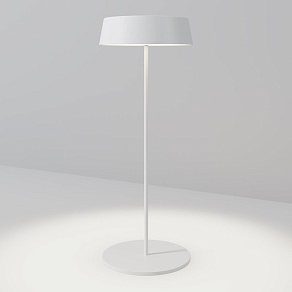 Наземный низкий светильник Maytoni Outdoor Porto O540TL-L2WCCT