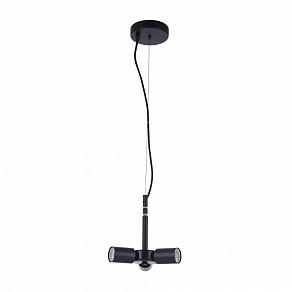 Подвесной светильник Maytoni Toronto MOD974-PLBase-03-Black