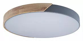 Накладной светильник Loft it Axel 3 10004/36 Grey
