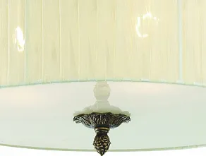 Накладной светильник ST-Luce Vincitore SL134.402.03