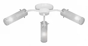 Потолочная люстра Vitaluce V3863 V3863/3PL