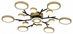 Потолочная люстра F-promo Hybrid 4686-13C