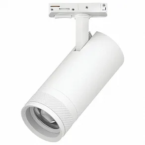 Светильник на штанге Lightstar Canno Pro C4206SS