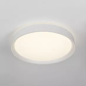 Накладной светильник Citilux BOSS CL751350G