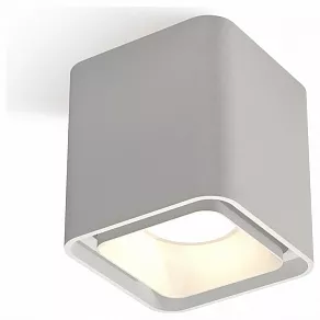 Накладной светильник Ambrella XS XS7840001