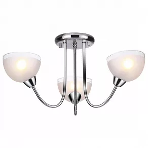 Потолочная люстра Lumion Alora 4461/3C