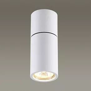 Накладной светильник Odeon Light Duetta 3582/1C