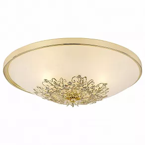 Накладной светильник Arte Lamp Collinetta A9116PL-2GO