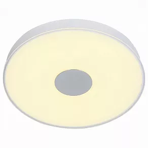 Накладной светильник ST-Luce Semplicita SL473.502.01D