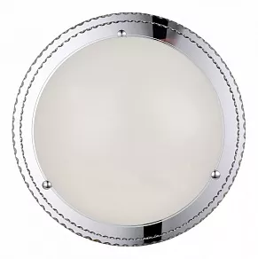 Накладной светильник ST-Luce Universale SL494.512.01