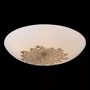 Накладной светильник Arte Lamp Provence A4548PL-5GO