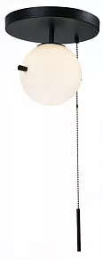Светильник на штанге Loft it Signal 10029C Black