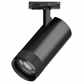Светильник на штанге Lightstar Canno Pro C4307SS