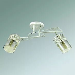 Спот Lumion Mirela 3096/2C