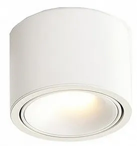 Накладной светильник Wertmark WTA.O06 WTA.O06.007.30.07
