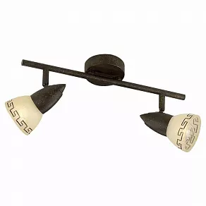 Спот Odeon Light Medeo 2075/2W