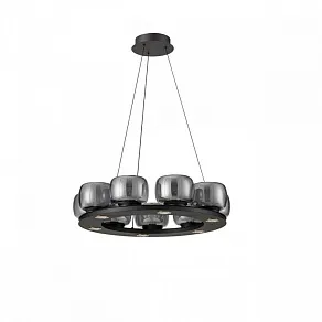 Подвесная люстра Aployt Yudzheni APL.862.03.63