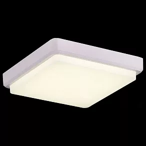 Накладной светильник EVOLUCE Taddio SLE200212-01