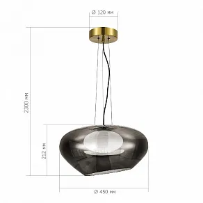 Подвесной светильник ST-Luce Foray SL6019.313.01