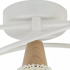Потолочная люстра Rivoli Naturale S5 WT Б0038094