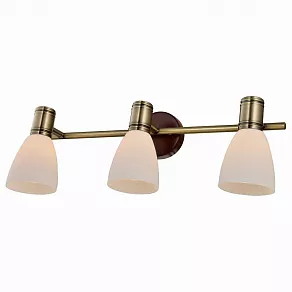 Спот TopLight Sharyl TL3720Y-03BB