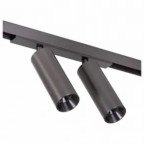 Светильник на штанге Lucide Linial 55902/20/08