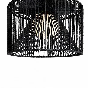 Накладной светильник Freya Cottage FR5405CL-01B1