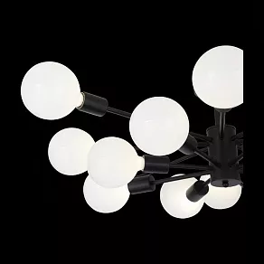 Люстра на штанге EVOLUCE Ano SL419.402.16