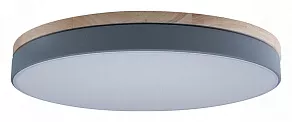 Накладной светильник Loft it Axel 10001/36 Grey