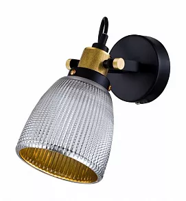 Спот Maytoni Tempo T164-01-N