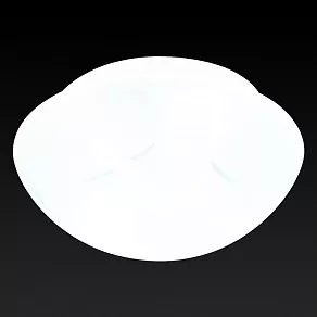 Накладной светильник TopLight Sandra TL9411Y-01WH