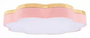Накладной светильник Loft it Axel 10225/36 Pink
