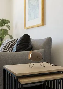 Настольная лампа декоративная Eglo TILSTON 44165