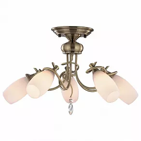 Потолочная люстра Odeon Light Kula 1426/5
