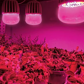 Лампа светодиодная Uniel LED-M80 E27 20Вт K 11098