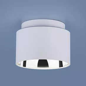 Накладной светильник Elektrostandard Charlie 1069 GX53