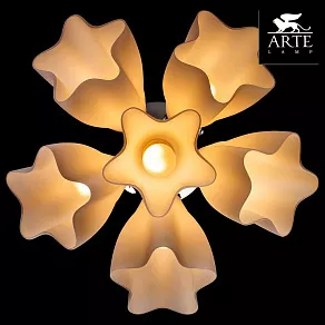 Потолочная люстра Arte Lamp Canzone A3469PL-6CC