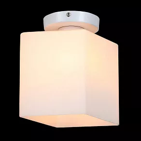 Накладной светильник ST-Luce Aspetto SL548.501.01