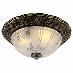 Накладной светильник Arte Lamp Piatti A8003PL-2AB