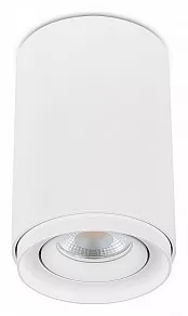 Накладной светильник SIMPLE STORY 2065 2065-1CLW