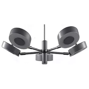 Люстра на штанге Freya Gabby FR6009PL-L55GR