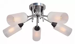 Потолочная люстра Vitaluce  V4896-9/5PL