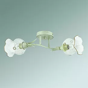 Светильник на штанге Lumion Rozetta 3108/2C