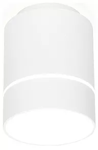 Накладной светильник Ambrella TN TN256