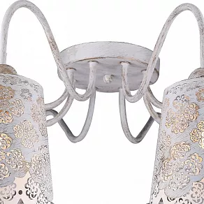 Потолочная люстра Arte Lamp 2032 A2032PL-8WG
