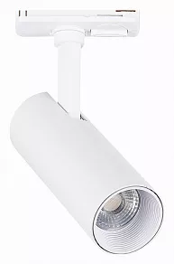 Светильник на штанге ST-Luce Mono ST350.536.10.36
