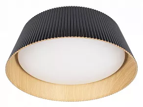 Накладной светильник Loft it Evans 10224 Black