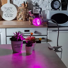 Лампа светодиодная Uniel  E27 15Вт K UL-00010107