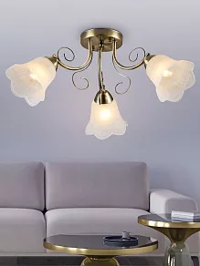 Потолочная люстра Rivoli Rosa Б0052690